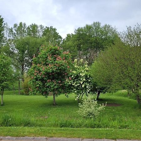 Mobil Home Nature Eclaron-Braucourt-Sainte-Liviere Εξωτερικό φωτογραφία